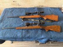 IMG_1713