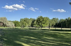IMG_3997