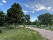 IMG_4012