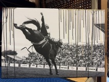 IMG_0645